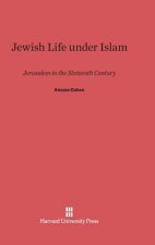 Jewish Life Under Islam
