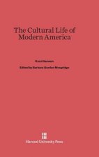 Cultural Life of Modern America