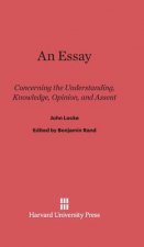 Essay