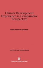 China's Development Experience in Comparative Perspective