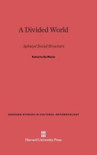Divided World