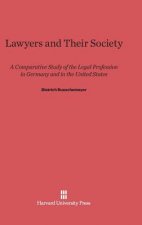 Lawyers and Their Society