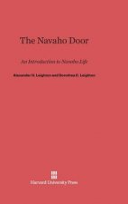 Navaho Door