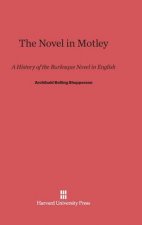Novel in Motley