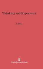 Thinking and Experience