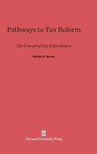 Pathways to Tax Reform