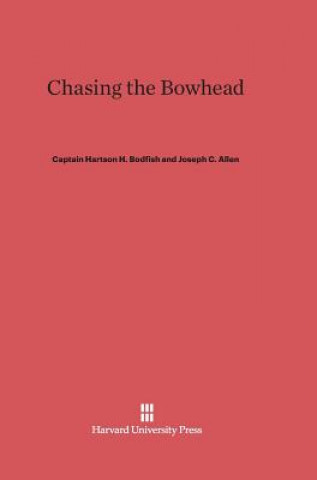 Chasing the Bowhead