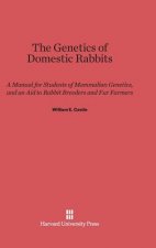 Genetics of Domestic Rabbits