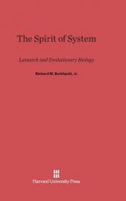 Spirit of System
