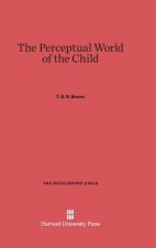 Perceptual World of the Child