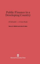 Public Finance in a Developing Country