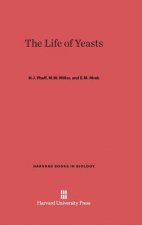 Life of Yeasts