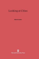 Looking at Cities