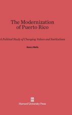 Modernization of Puerto Rico