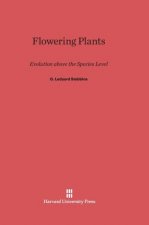 Flowering Plants