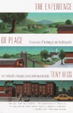 The Experience of Place: A New Way of Looking at and Dealing with Our Radically Changing Cities and Countryside