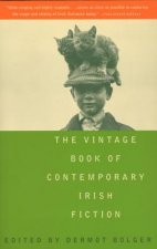 The Vintage Book of Contemporary Irish Fiction