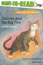 Dolores and the Big Fire: Dolores and the Big Fire