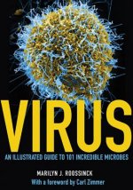 Virus - An Illustrated Guide to 101 Incredible Microbes