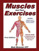 Muscles And Their Exercises