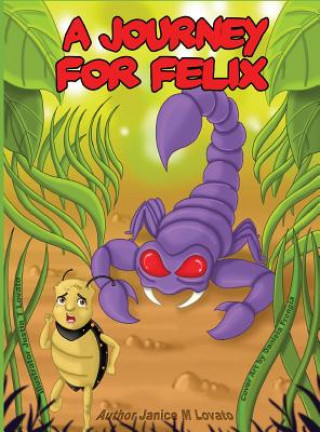 Journey for Felix