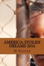 America: Stolen Dreams 2016