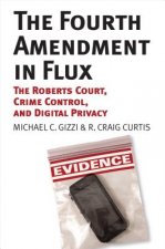 Fourth Amendment in Flux