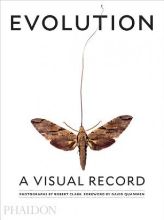 Evolution: A Visual Record