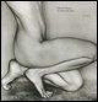 Edward Weston. La forma dei nudi