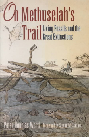 On Methuselah's Trail: Living Fossils and the Great Extinctions