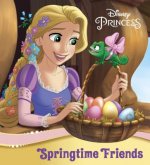 Princess Spring-Themed Board Book (Disney Princess)