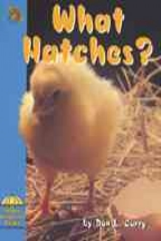 What Hatches?