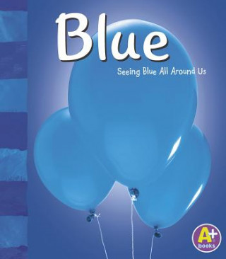 Blue: Seeing Blue All Around Us