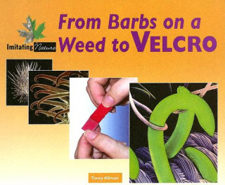 From Barbs on a Weed to Velcro