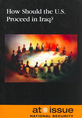 How Should the U.S. Proceed in Iraq?