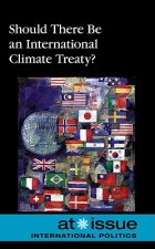 Should There Be an International Climate Treaty?