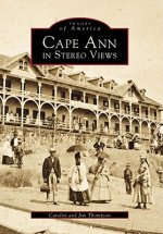 Cape Ann in Stereo Views