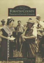 Forsyth County: Twentieth-Century Changes