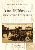 The Wildwoods:: In Vintage Postcards