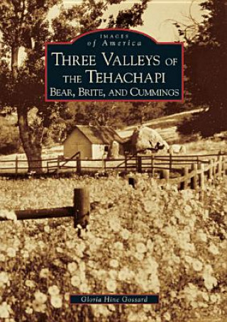 Three Valleys of the Tehachapi: Bear, Brite, and Cummings