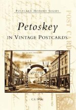 Petoskey in Vintage Postcards