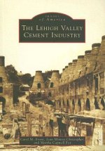 The Lehigh Valley Cement Industry