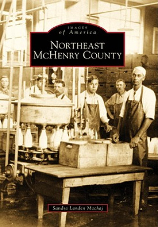 Northeast McHenry County
