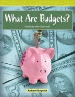 What Are Budgets?: Working with Decimals