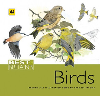 Best of Britain's Birds