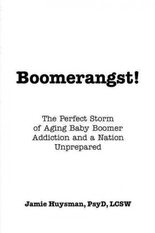 Boomerangst!: The Perfect Storm of Aging Baby Boomer Addiction and a Nation Unprepared
