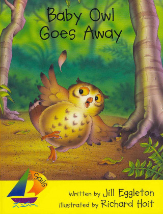 Rigby Sails Early: Leveled Reader Baby Owl Goes Away