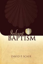 Infant Baptism in Nineteenth Century Lutheran Theology
