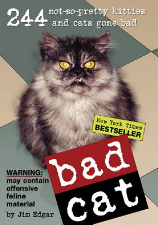 Bad Cat