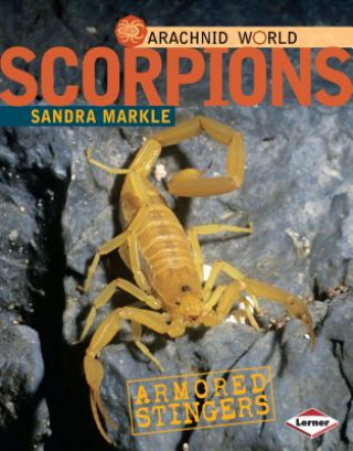 Scorpions: Armored Stingers